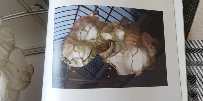 Flo Arnold, Papiers d'identité - photo numéro 6