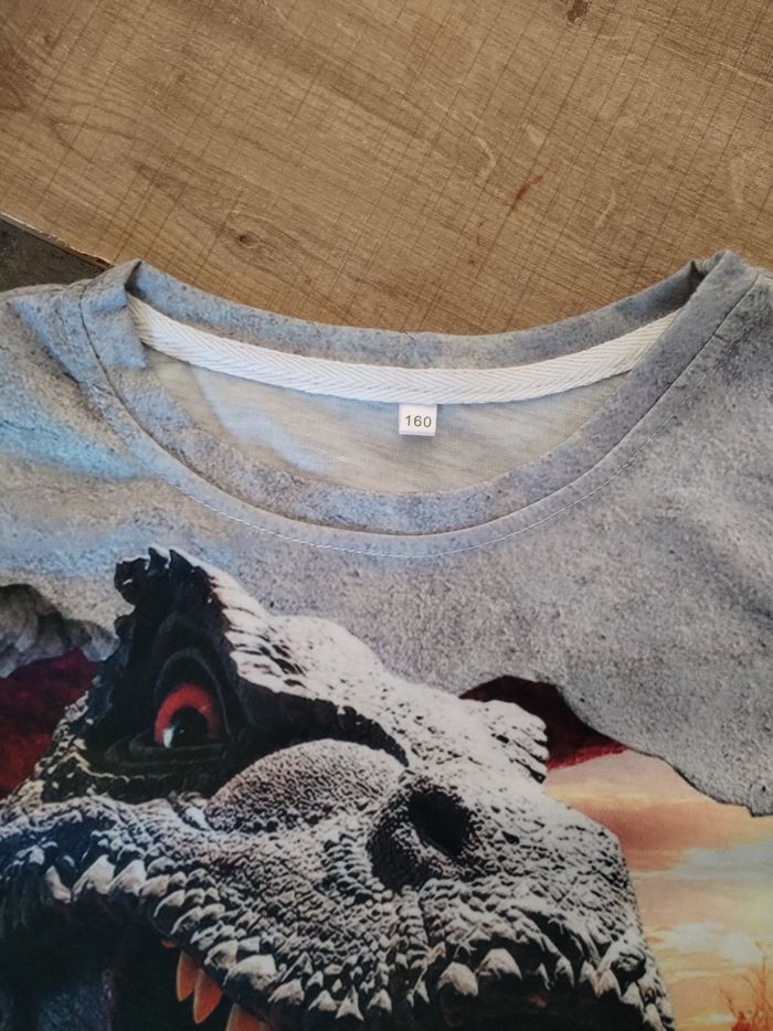 T-shirt dinosaure neuf 12 ans - photo numéro 3