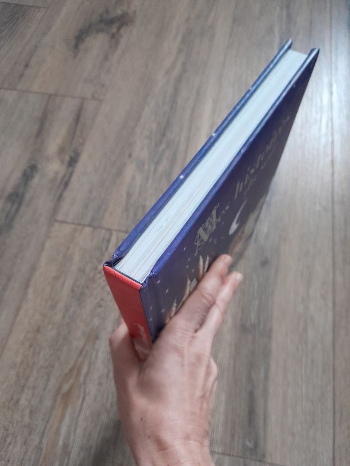 Livre enfant contes et histoires. Mes histoires du soir - photo numéro 5