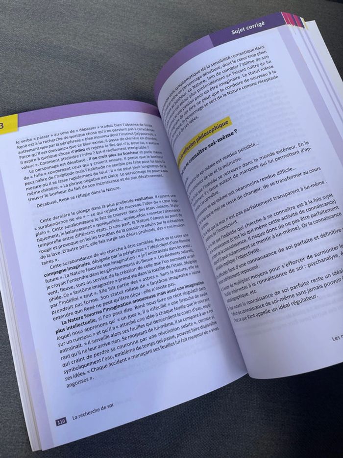 Spécialité HLP humanités littérature philosophie terminale bac ellipses - photo numéro 3