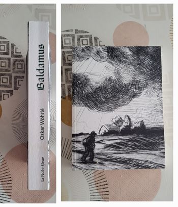 Baldamus Ou le diable aux trousses de Oskar Wöhrlé