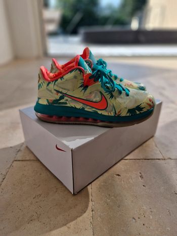 Nike lebron