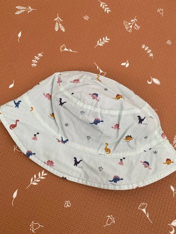 Bob / chapeau dinosaures 48/50cm