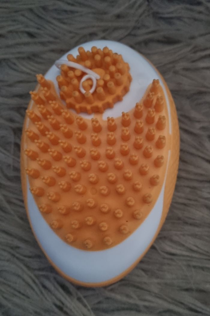 Brosse de toilettage pour chien - photo numéro 2