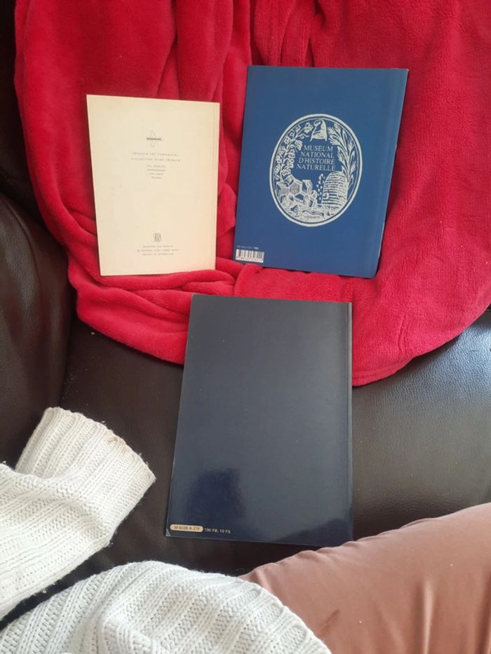 Lot de 2 livres historique peinture photo p o - photo numéro 2