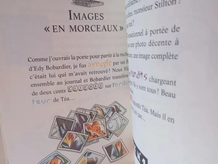 Geronimo Stilton : le gang du chat géant - photo numéro 3