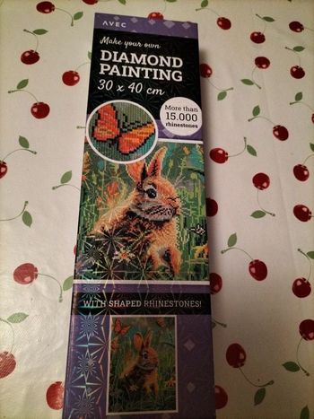 🎨Diamond Painting - Lapinou 🎨