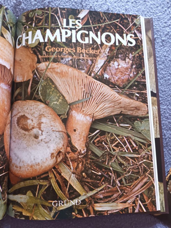 Ancien livre "Les champignons" - photo numéro 8