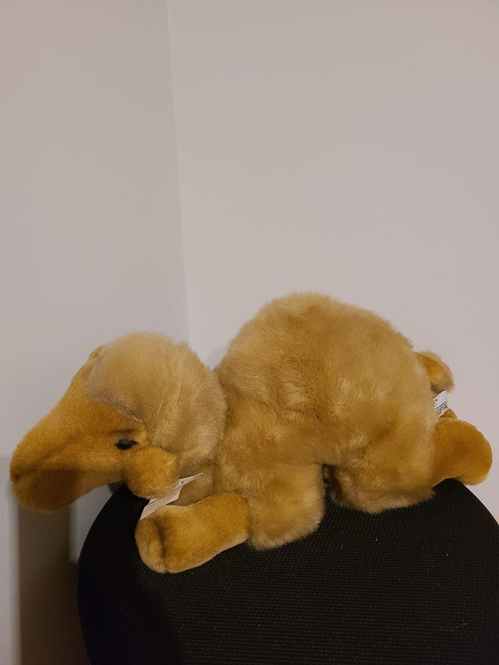 peluche chameau - photo numéro 7