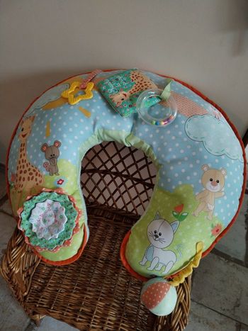 Coussin cale bébé Sophie la girafe

