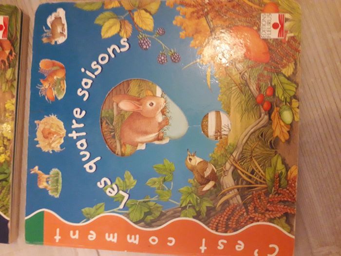 Livres à rabat "c'est comment ? " - photo numéro 2