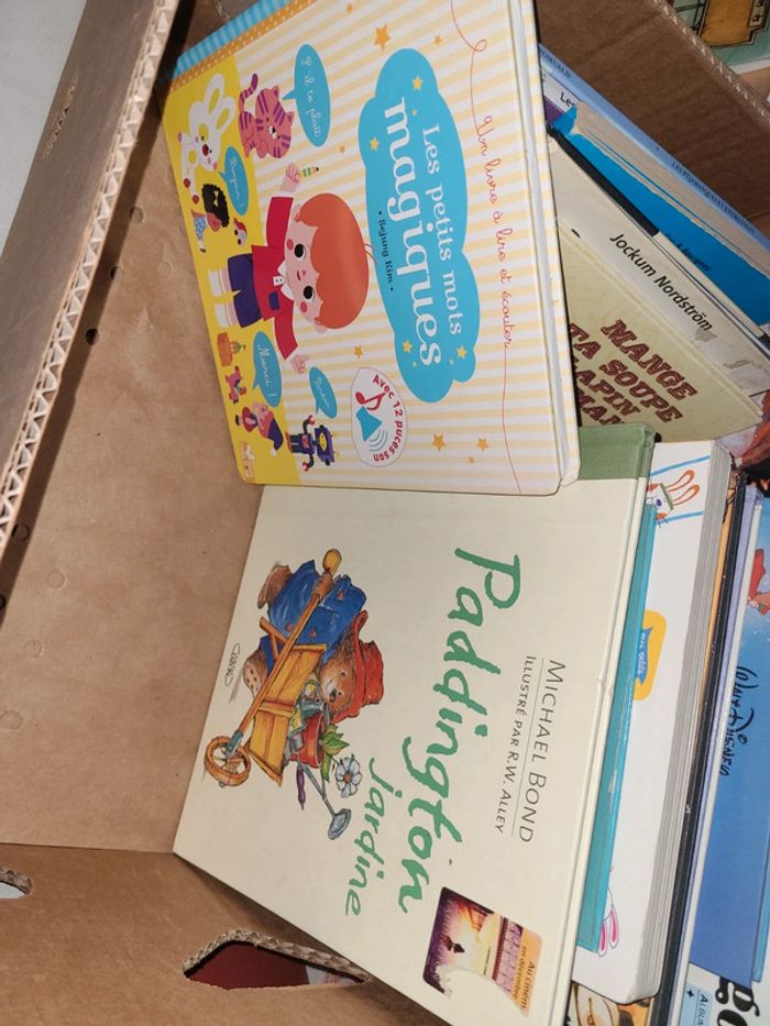 Gros lots de livre - photo numéro 6
