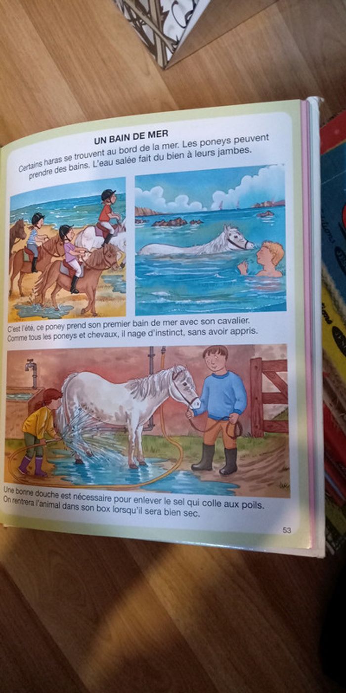 L'imagerie du poney et du cheval - photo numéro 4