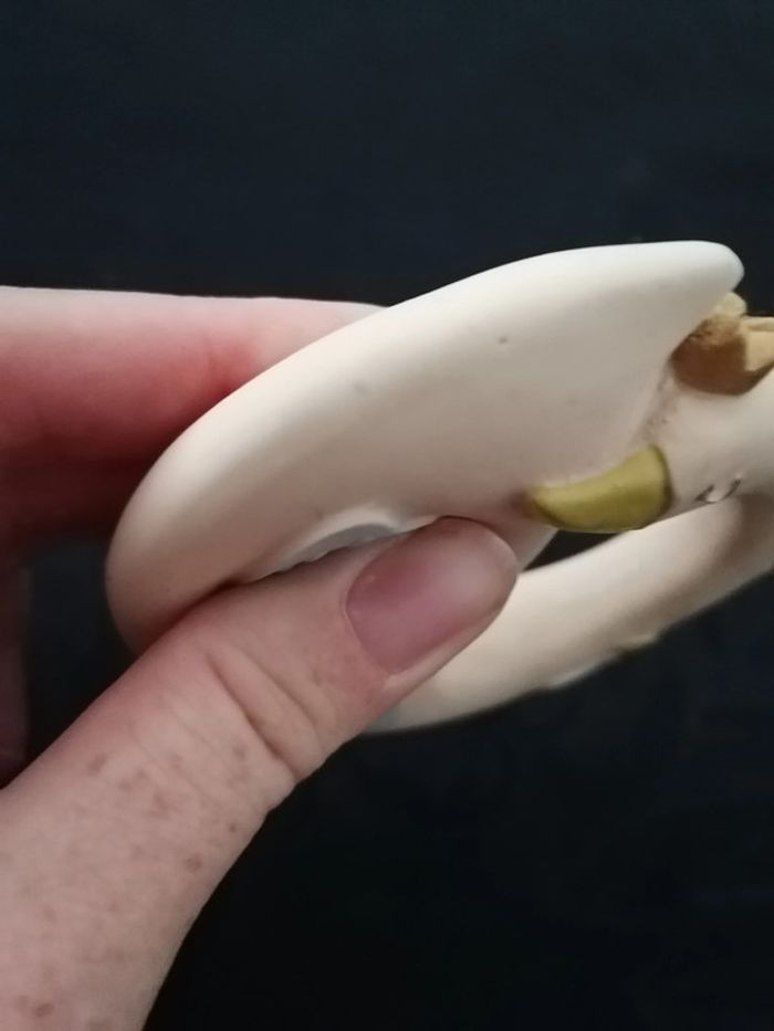 Olga oie - photo numéro 2