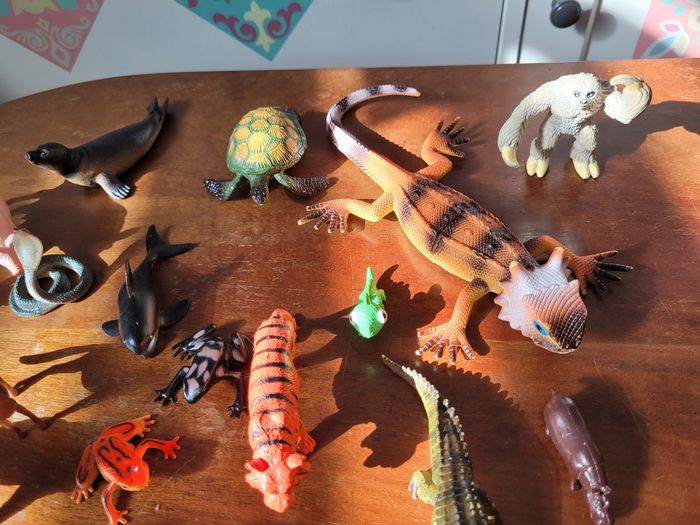 lots de petits animaux  (5e) - photo numéro 3