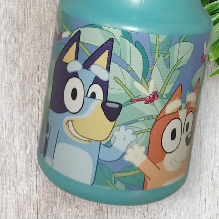 Gourde bluey - photo numéro 4