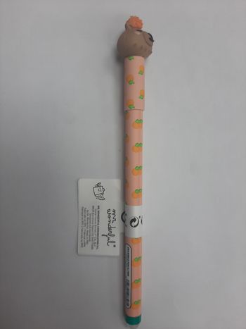 Stylo effaçable Capibara Mr Wonderful 