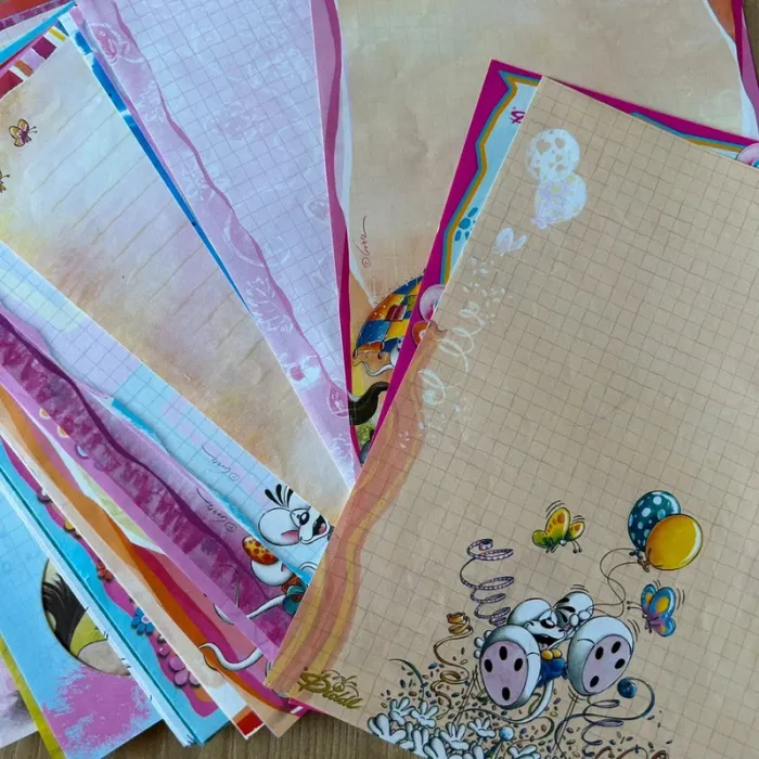 Classeur gros lot feuilles diddl vintage rare - photo numéro 11