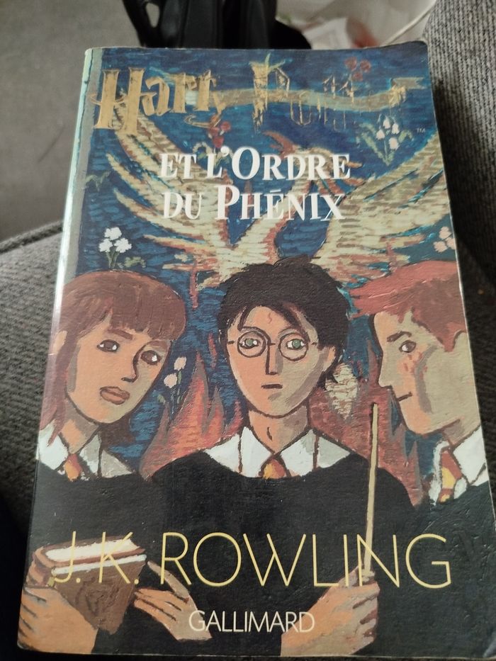 Harry Potter et l'ordre du Phénix - photo numéro 3
