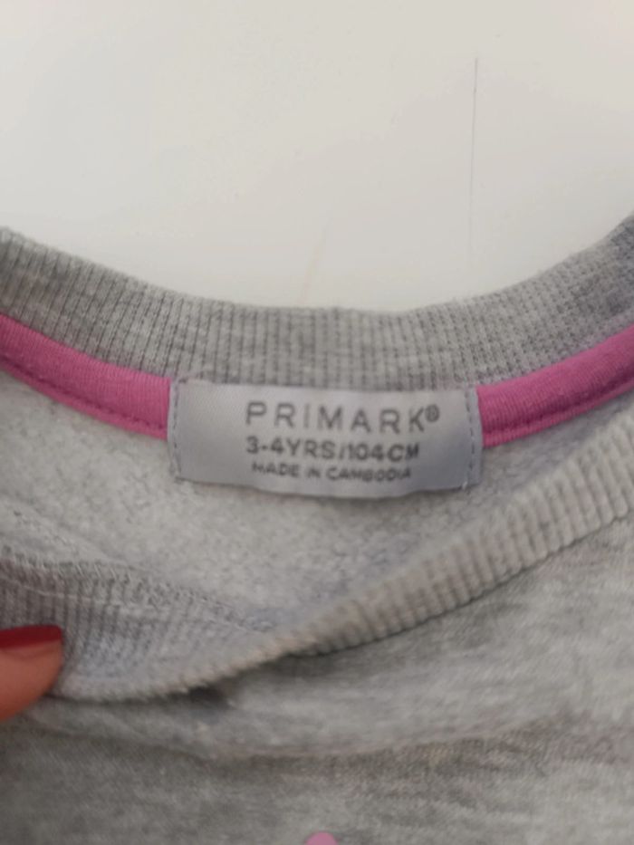 2 pulls Primark 3/4 ans - photo numéro 6