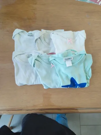 6 bodies manches courtes 24 mois