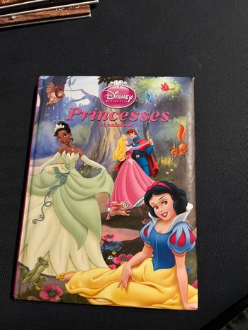 Livre pour enfants Disney princesses et animaux