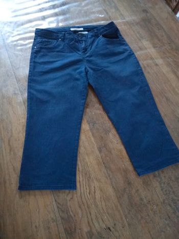 Pantacourts camaïeu