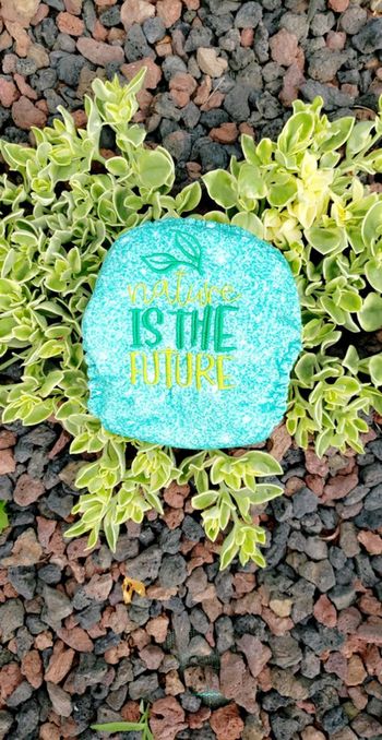 Mama koala nature issue the future brodée