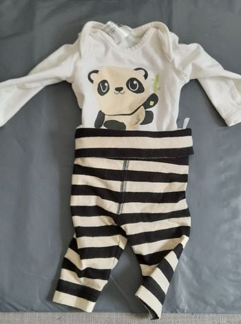 Ensemble panda