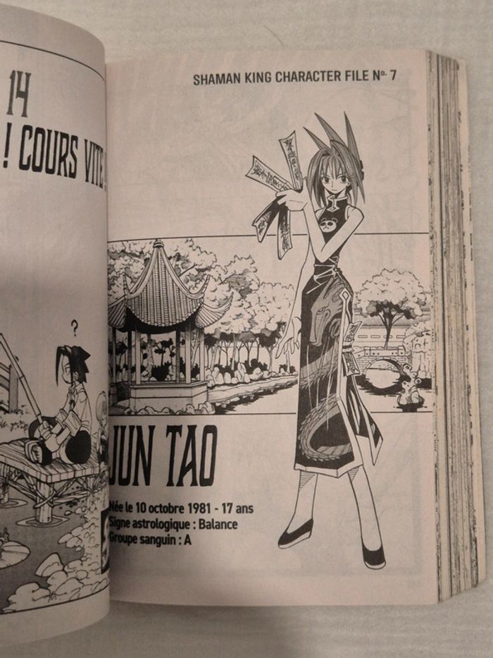 Manga Shaman King tome 1 - photo numéro 4