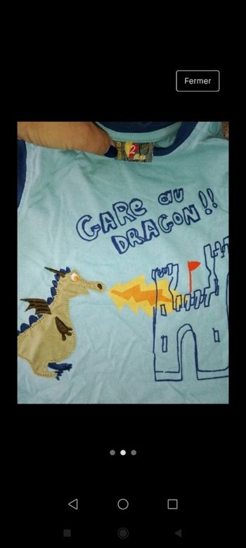 Tee shirt 12 mois manches longues bleu dragon