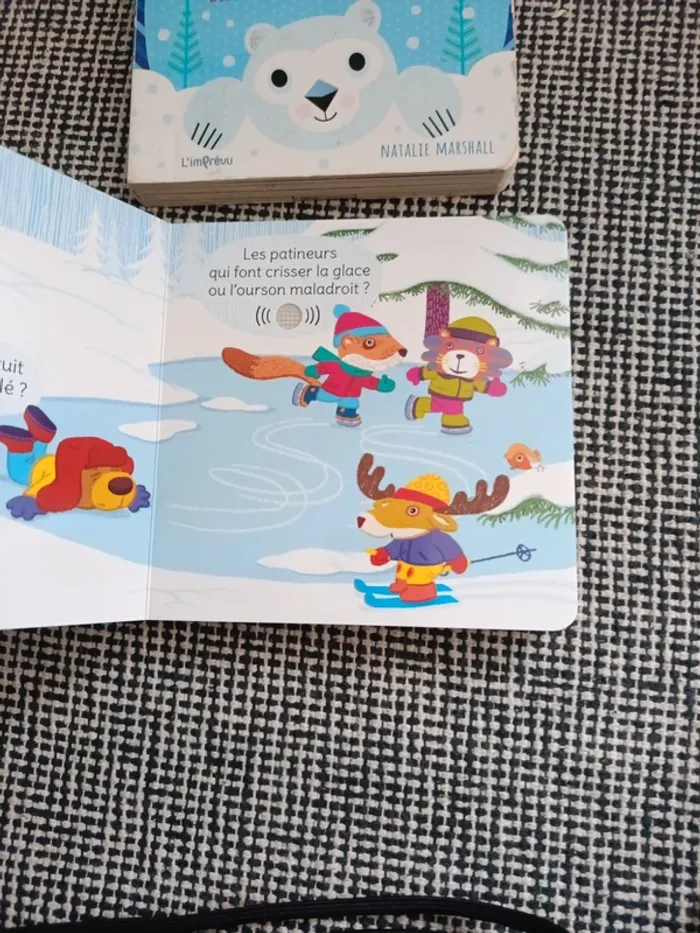 3 livres sur l'hiver - photo numéro 6