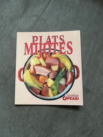 Petit livre recette plats mijotés