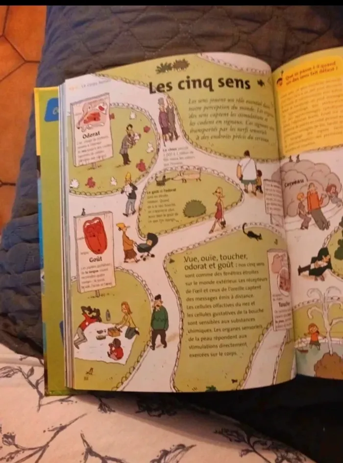 L'encyclopédie 6/9 ans bon état - photo numéro 4