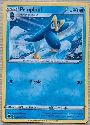 Prinplouf Stars Étincelantes