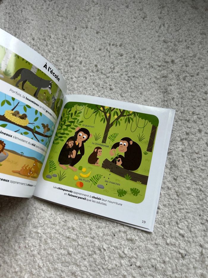 Les bébés animaux - photo numéro 2