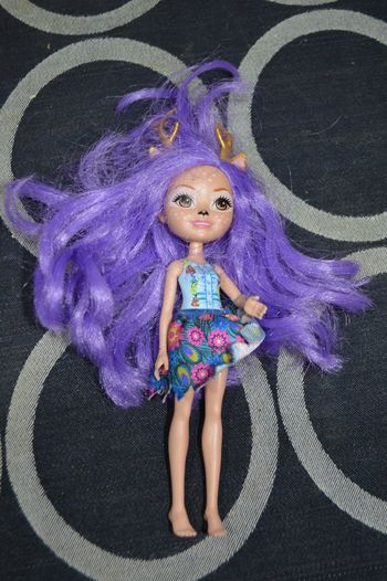 Poupée Enchantimals