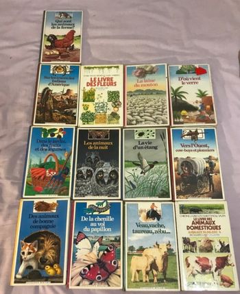 Lot de 13 livres pour enfants