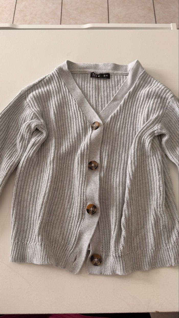 Gilet gris