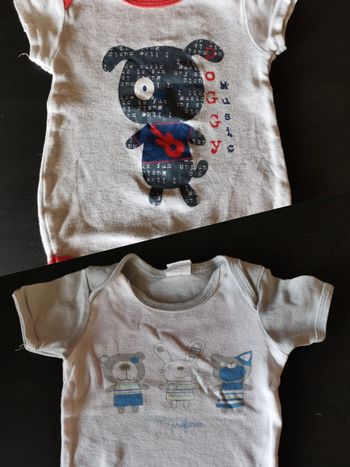 2 bodies animaux manches courtes