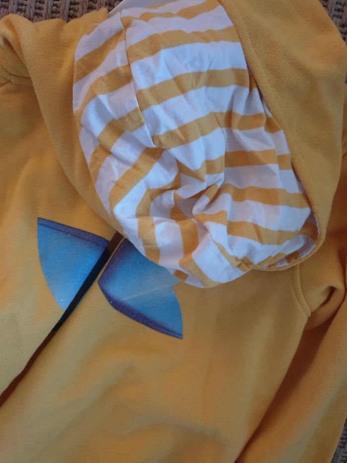 Veste à capuche Nigloland - photo numéro 5