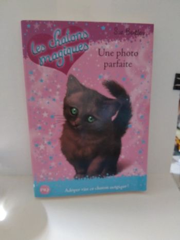 Lot de deux petits livres les chatons magiques