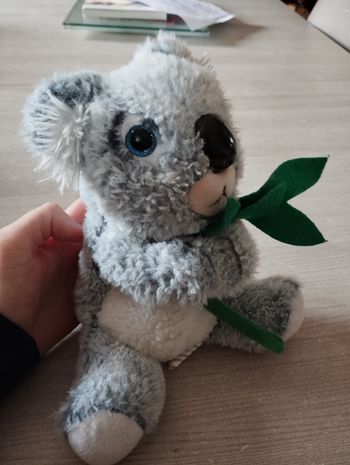 Peluche koala