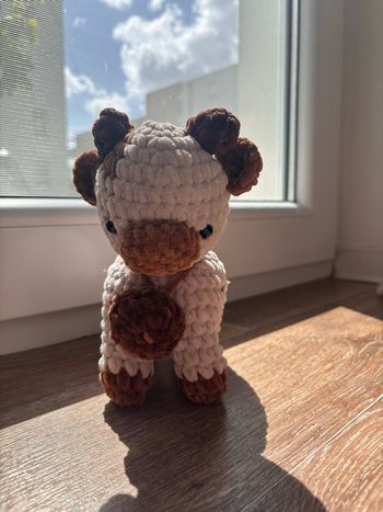 Peluche