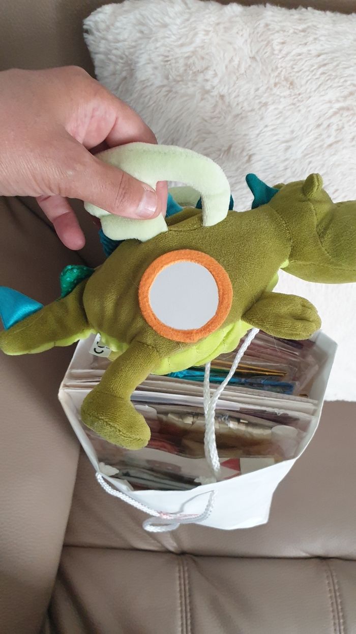 Dragon lilliputiens - photo numéro 4