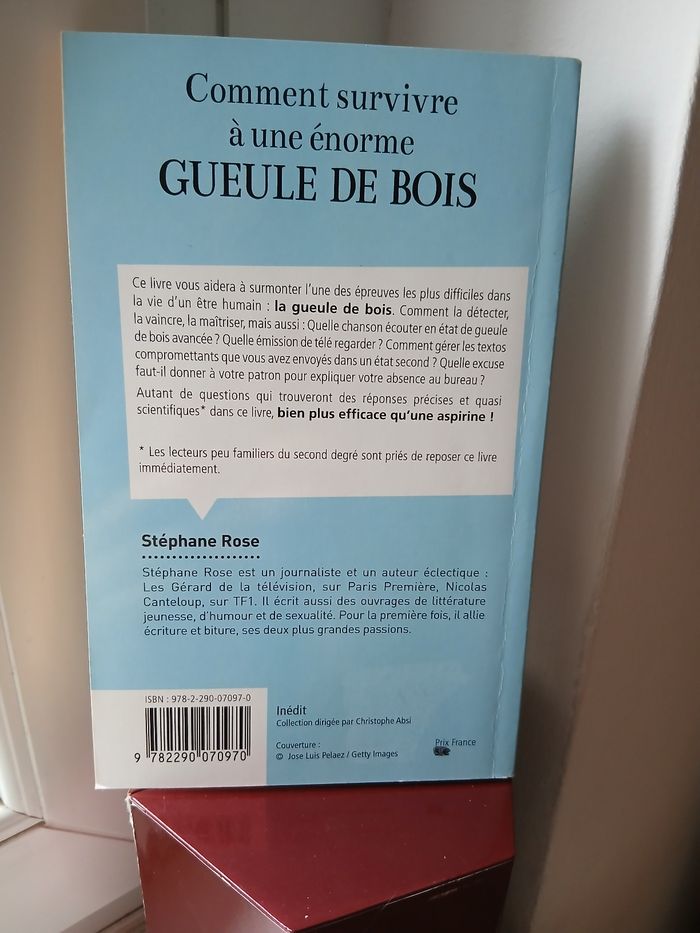 Comment survivre à une énorme gueule de bois - photo numéro 2