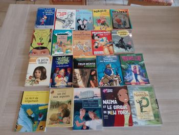 Lot de 20 livres divers (2)