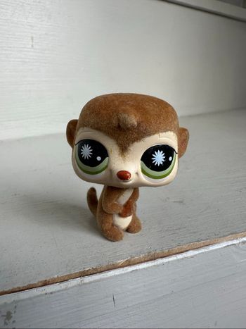 Petshop suricate