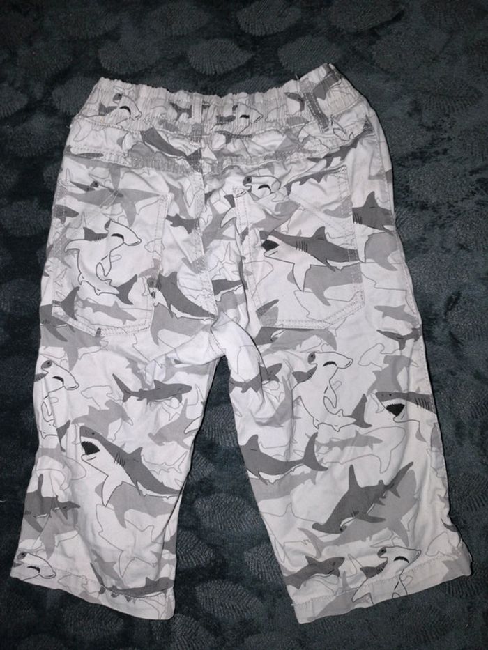 Pantacourt - photo numéro 2