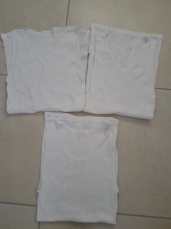 Lot 3 chemises de corps t 38/40
